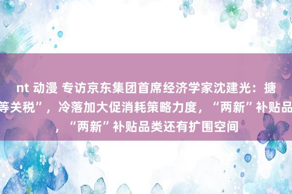 nt 动漫 专访京东集团首席经济学家沈建光：搪塞好意思国“平等关税”，冷落加大促消耗策略力度，“两新”补贴品类还有扩围空间