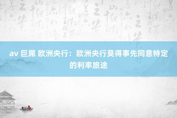 av 巨屌 欧洲央行：欧洲央行莫得事先同意特定的利率旅途