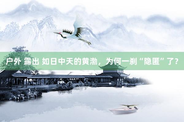 户外 露出 如日中天的黄渤，为何一刹“隐匿”了？