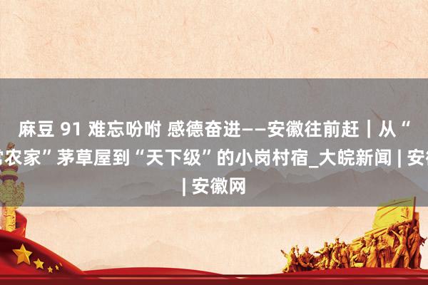 麻豆 91 难忘吩咐 感德奋进——安徽往前赶｜从“往常农家”茅草屋到“天下级”的小岗村宿_大皖新闻 | 安徽网