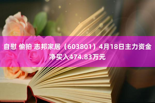 自慰 偷拍 志邦家居（603801）4月18日主力资金净买入474.83万元