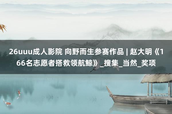 26uuu成人影院 向野而生参赛作品 | 赵大明《166名志愿者搭救领航鲸》_搜集_当然_奖项