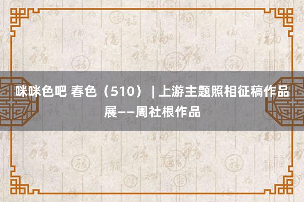 咪咪色吧 春色（510） | 上游主题照相征稿作品展——周社根作品