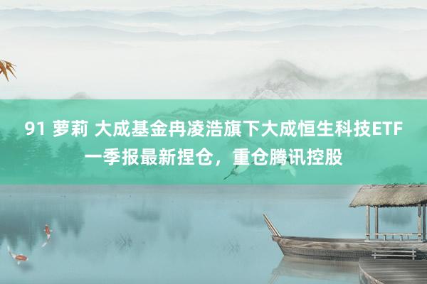 91 萝莉 大成基金冉凌浩旗下大成恒生科技ETF一季报最新捏仓，重仓腾讯控股