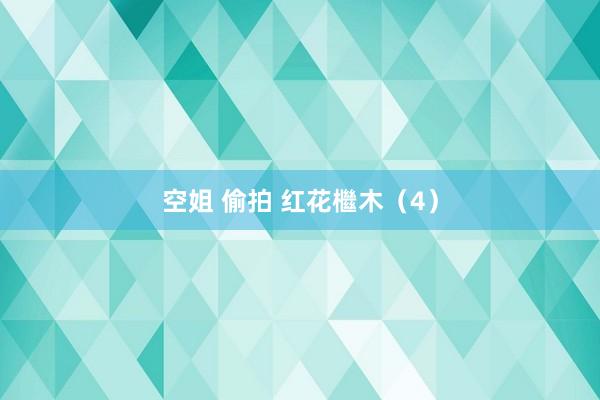 空姐 偷拍 红花檵木（4）