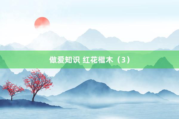 做爱知识 红花檵木（3）